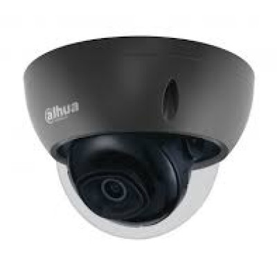 2MP Lite IR Fixed-focal Dome Network  Camera  Built-in IR LED, max LED distance: 30 m  12V DC/PoE power support; IP67 protection