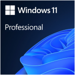 MICROSOFT ACTIVADOR WINDOWS 11 PRO 64-bit - ESD